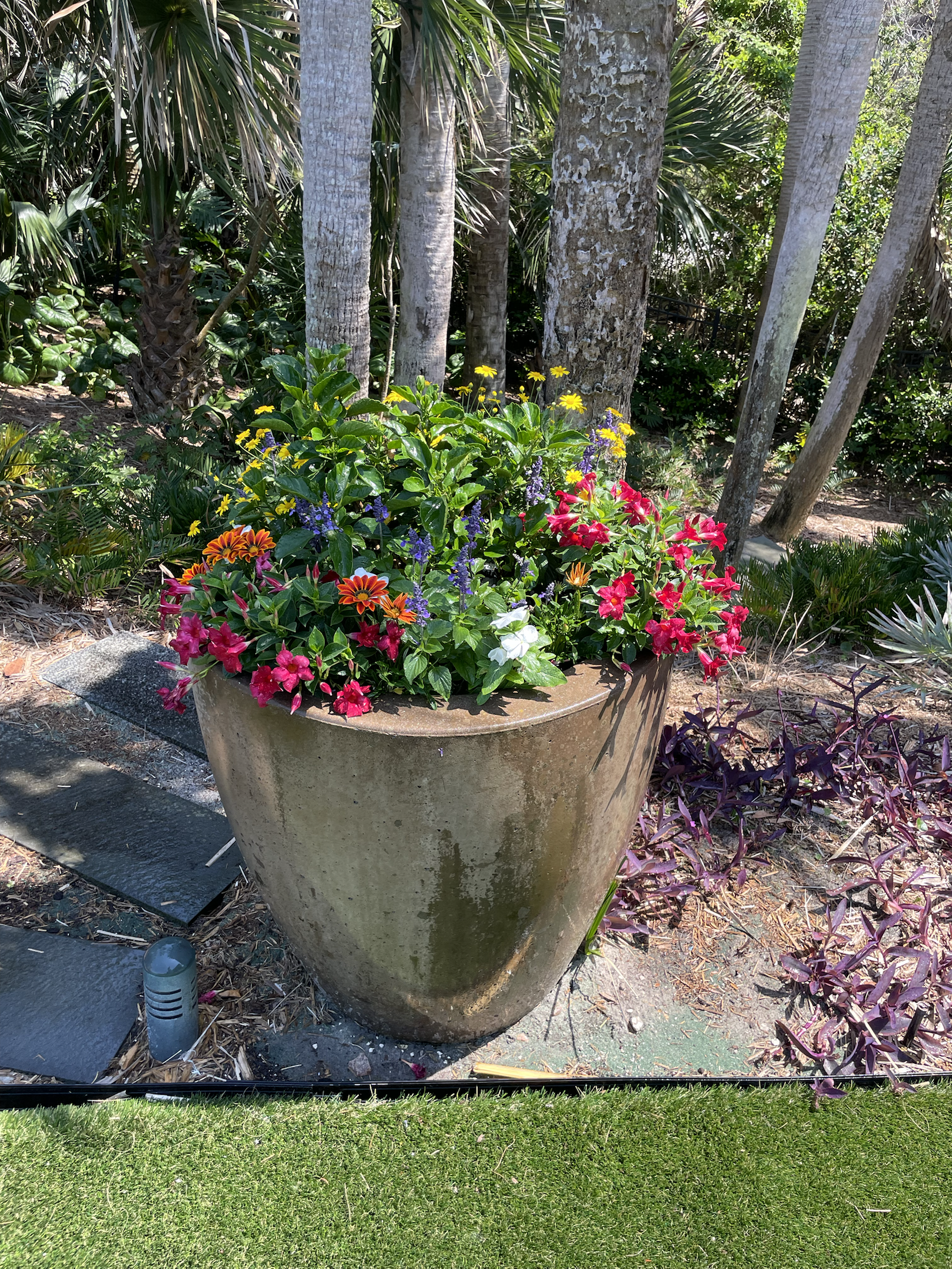 Seasonal planter in a tropical setting