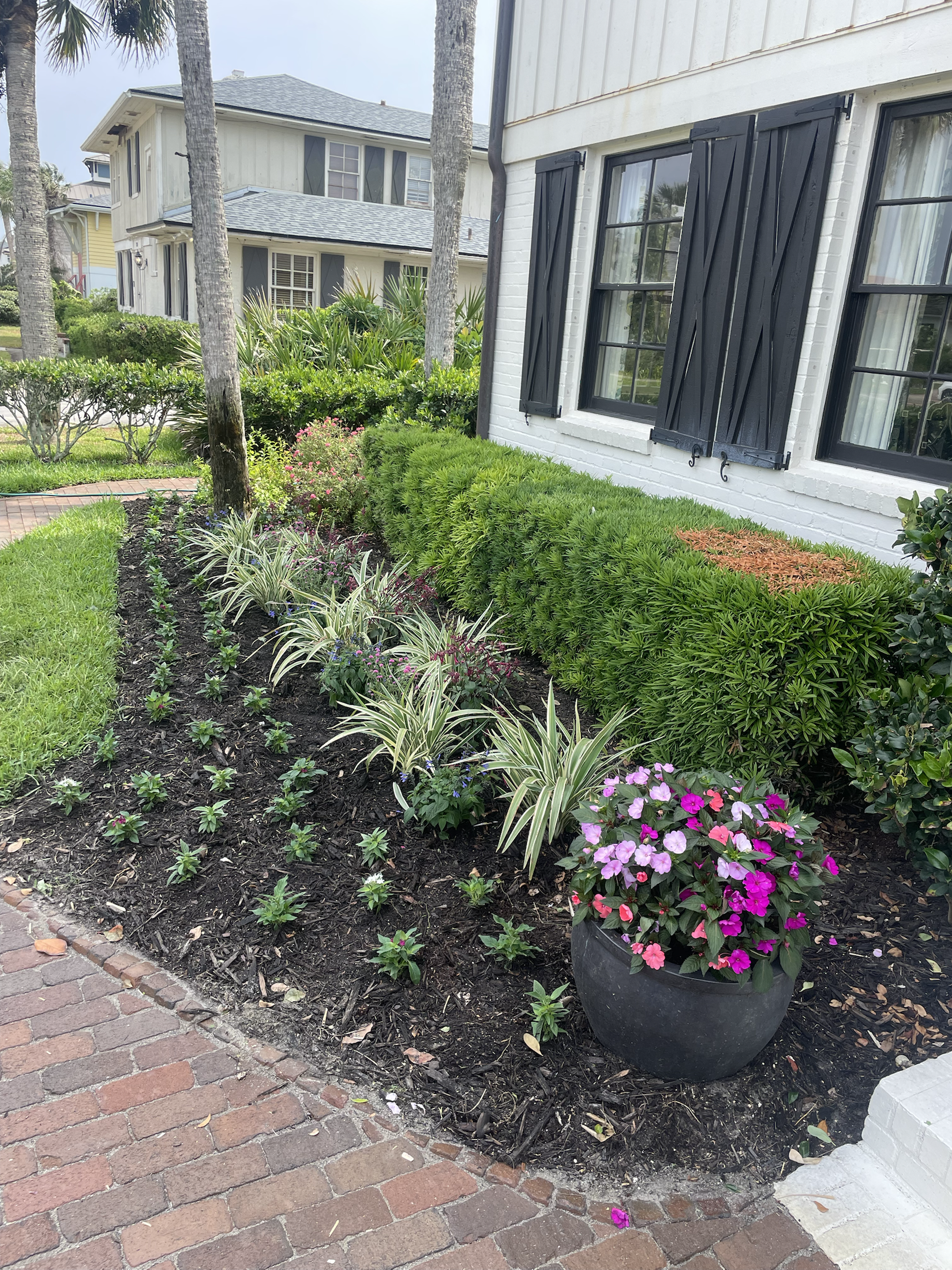 Foundation planting along a brick walkway
