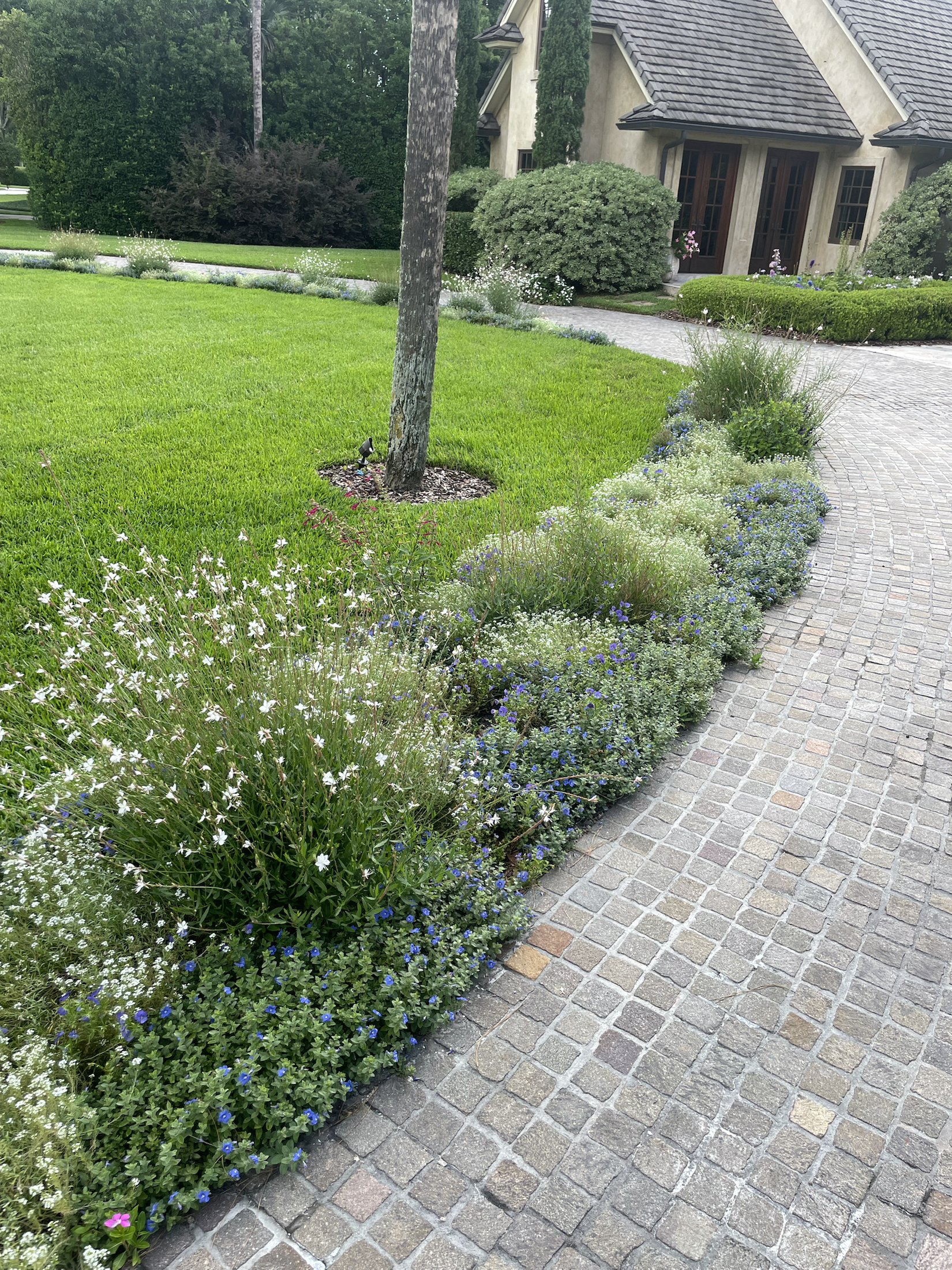 Soft blue and white border planting along pavers