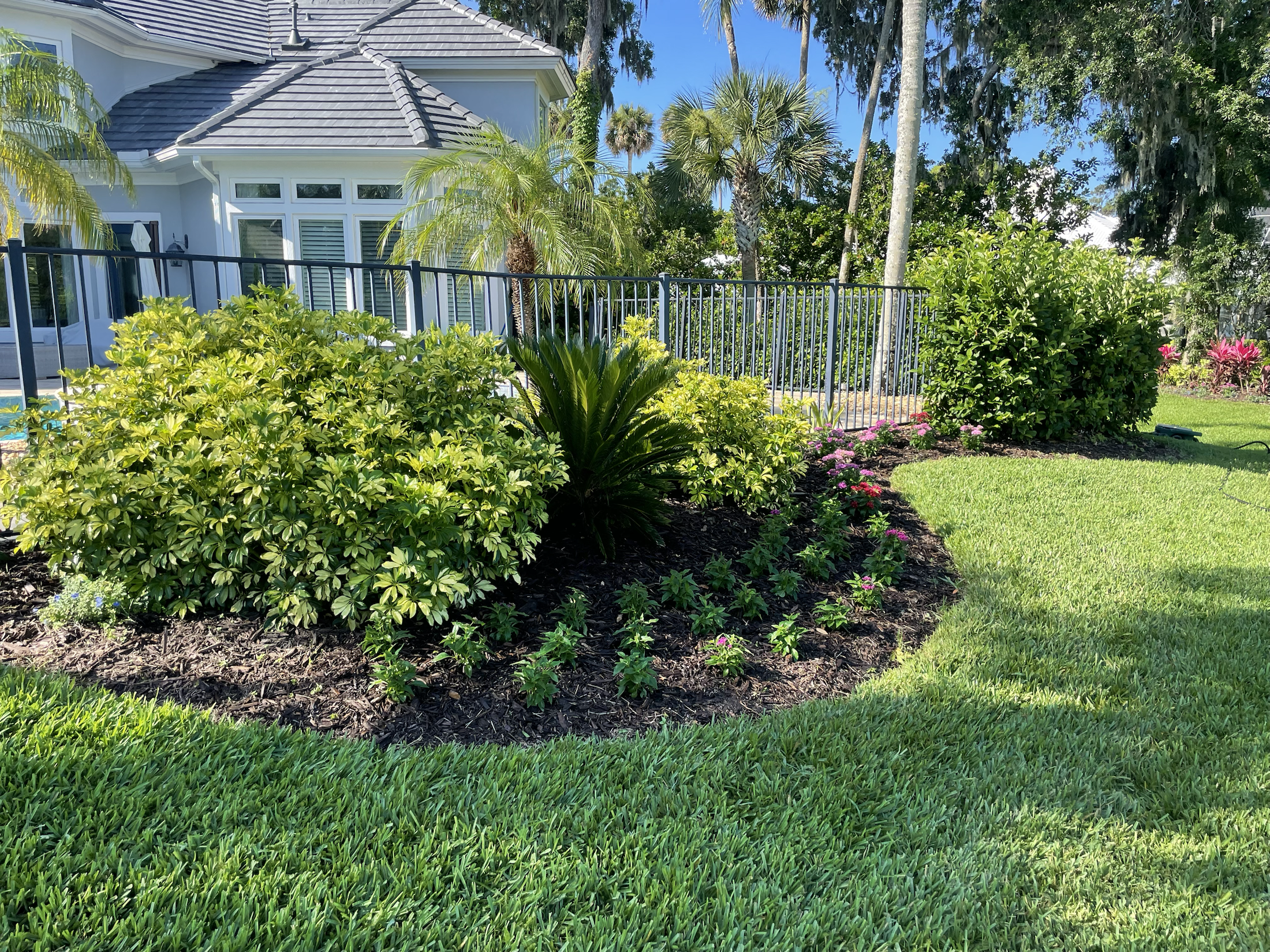 Finished poolside landscape bed detail
