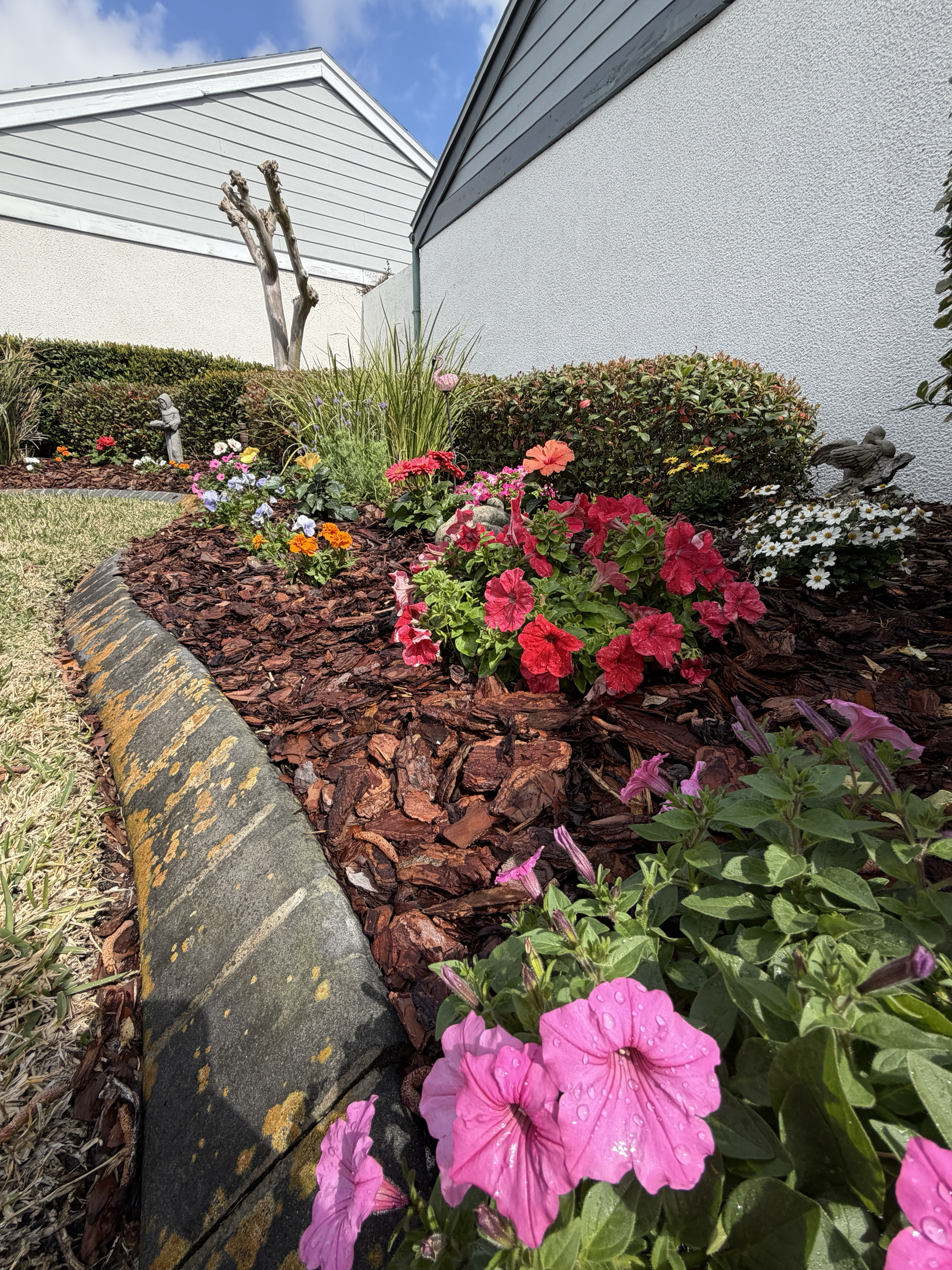 Flower bed edge detail with fresh seasonal color