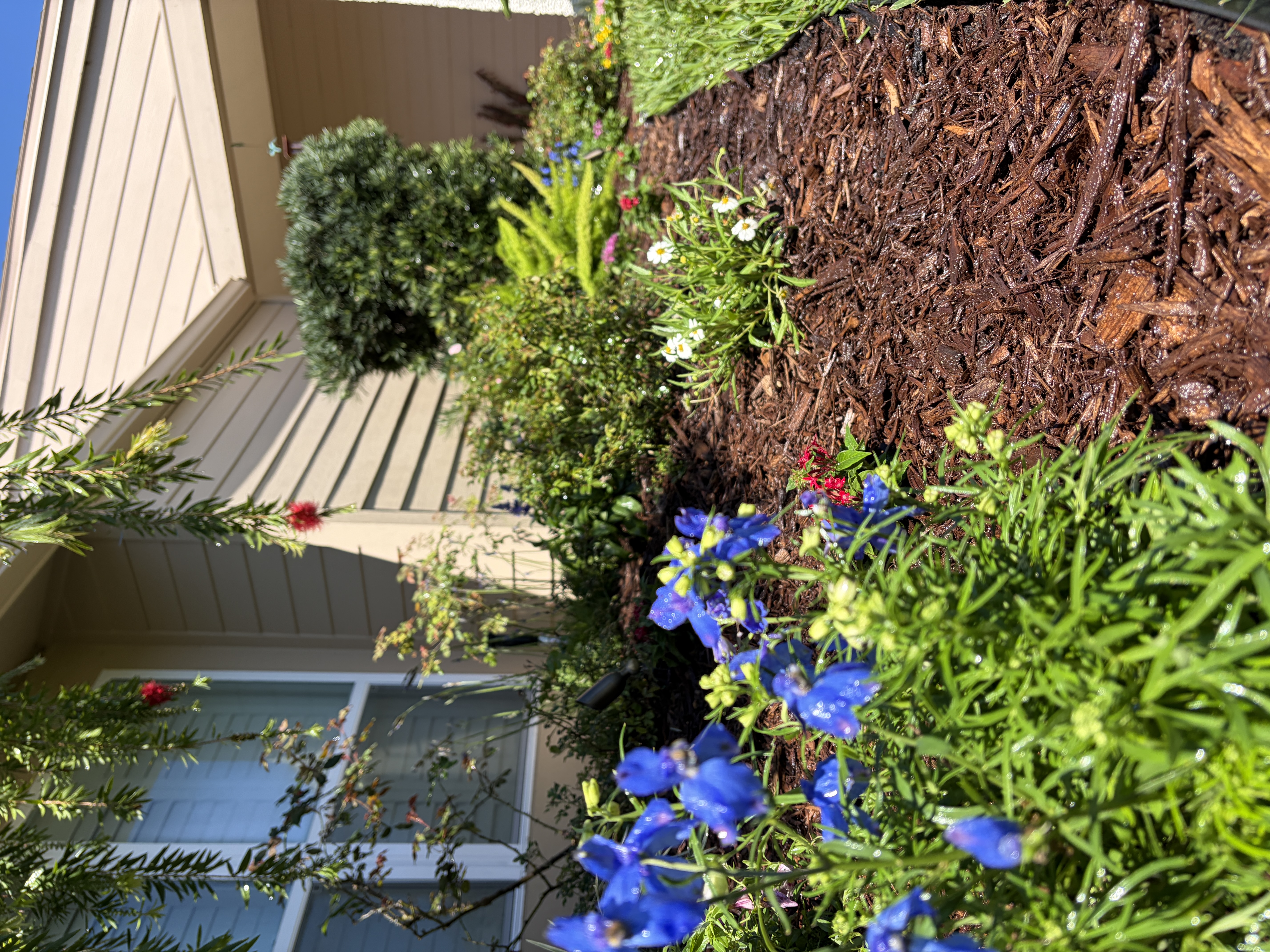 Fresh landscape bed by Green Man Designs