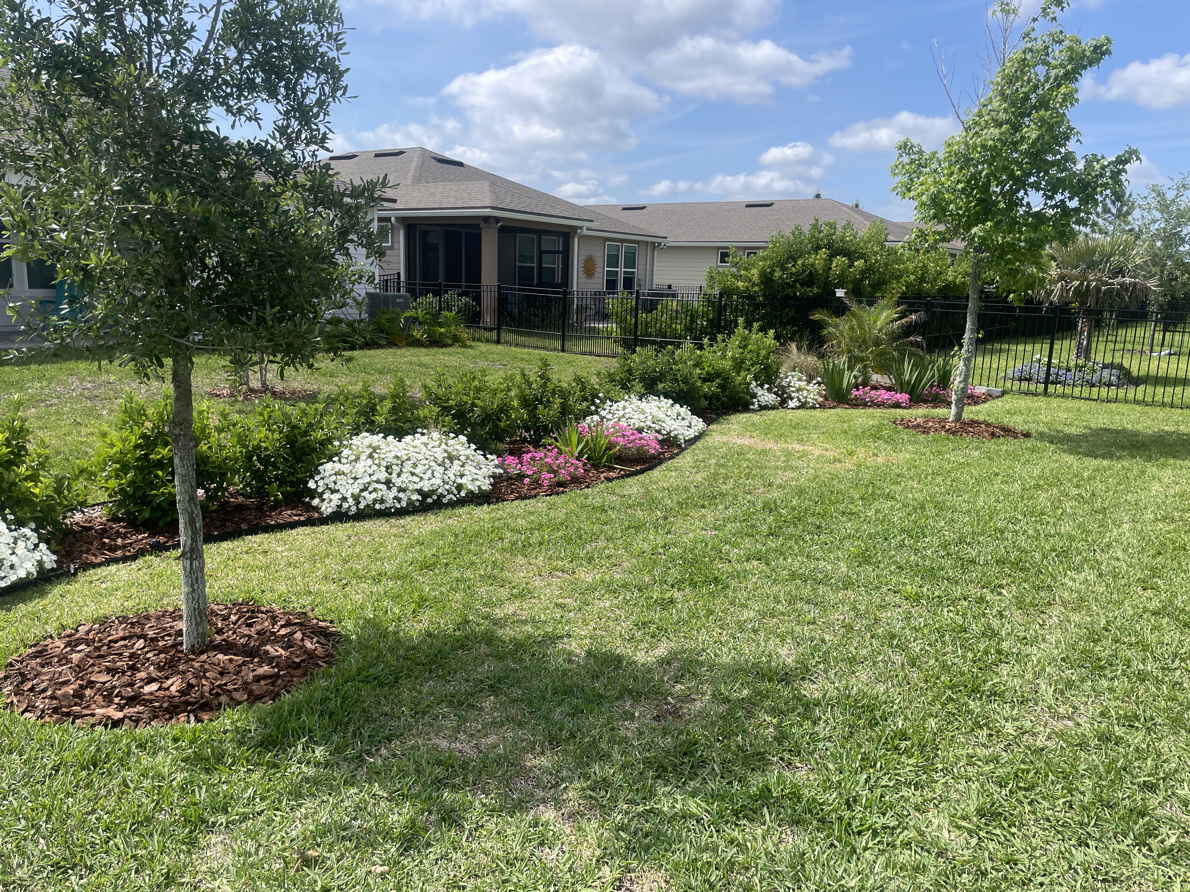 Curved backyard border planting