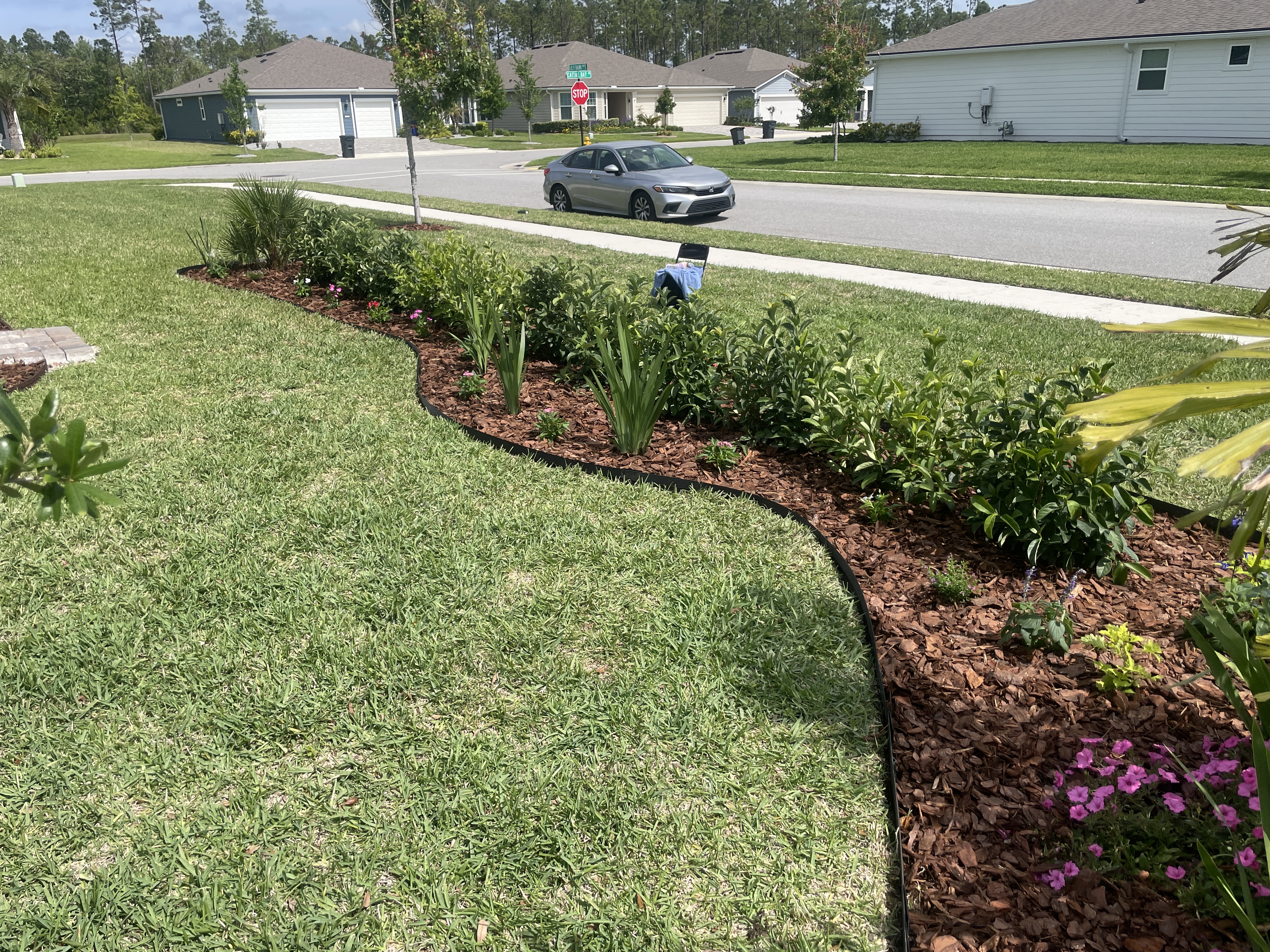 Street-facing edge and border line planting